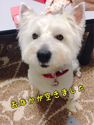 0CFF8828-C85D-410F-8E4C-80609F75B623