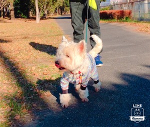 5C59BD68-C27B-491A-9ECD-C381D544A521