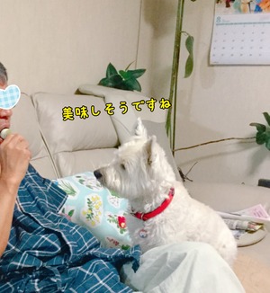 AC069636-0CE5-4B4F-9528-9E1391777086