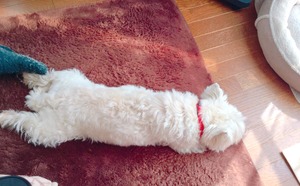 66BCA609-11FD-4A39-9765-746A8498E8B8