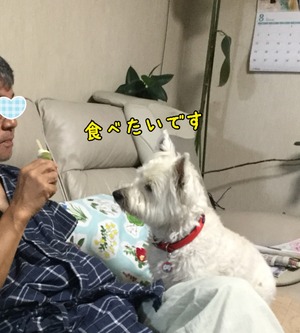 2BDD744F-696C-4C53-B61D-1E93C66B555D