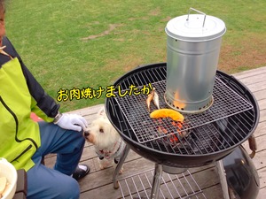 65A666FC-F6A0-49DE-828A-4ACDE6111DD9