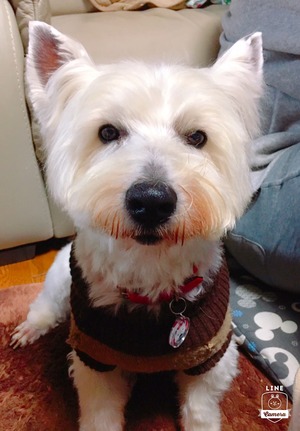 BBFAB9FC-ED55-473F-85B8-1B6FB44BC29D