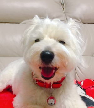 AC991319-7488-458F-B060-84869CAFE7DC