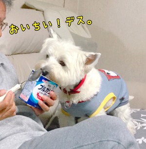 79446919-425A-43DF-BC59-35BC4C725EAC