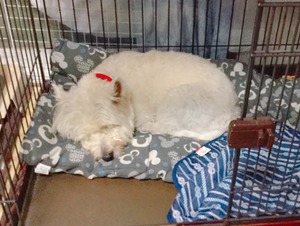 0543DBA9-AE8B-4D95-B624-71617D690516