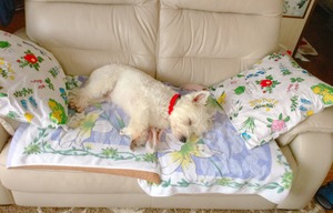 979B42AF-D448-4BA4-BADE-819D7A922543