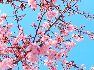 95706E91-F2EC-4378-90C2-F31127516F21