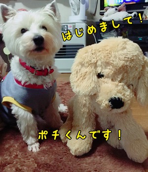 393A3215-D1CB-4EDD-AF2C-857F37DE1940