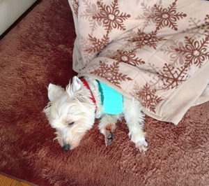 09B198F2-8E35-4322-B44A-296182C8DC2B