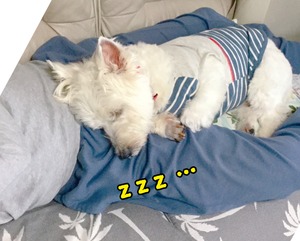 37A47C34-4F30-4C12-8F06-672B74F42FA8