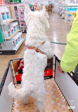 6C941649-6B39-443D-97BA-4EE07B408229