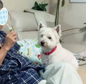 620FFEE3-31FD-4DD1-9B7A-743FA62E598C