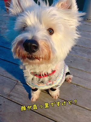 8EF0E042-F3FD-42D9-B8DE-B186DA329D9C