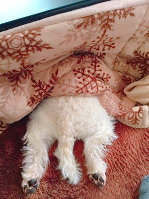 A998308A-3728-4BD7-A407-2B5AE9E89A67