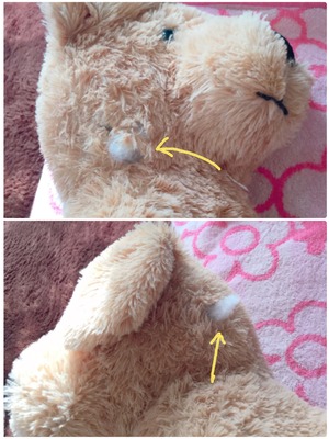 66760C1E-DE4B-4383-965D-FDBC6349ADED