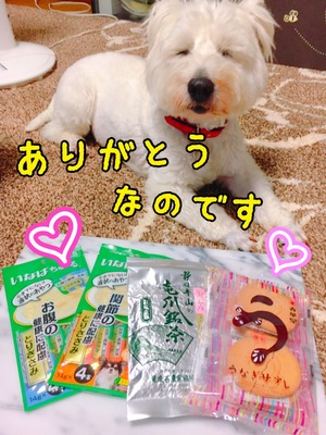 7FBACAF7-A3B2-48BA-8778-468832697CFF