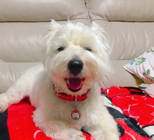 92353A96-C226-4BBF-BB86-D4A633B200D6