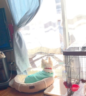 063C655E-259F-499C-B953-0850131B334C