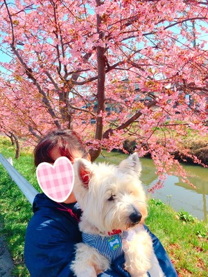 6867D7E3-8795-479D-AB57-B5E21777D0D0