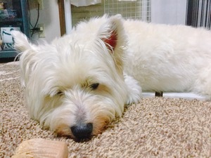 23384BAF-94B0-40A4-A017-15128C952EE9