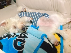 A8BCA1CA-7A36-412C-B58E-2E5909381032