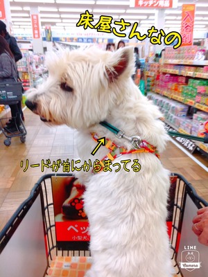 407EAB05-E08A-496B-B5DC-19F609251992