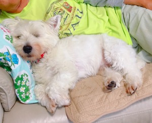 28492283-5305-4433-9B8B-B5C218E4EAC9