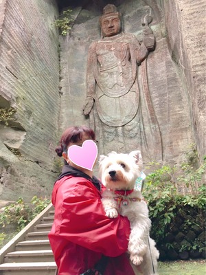 5ED79AE6-963D-452A-9FC2-C50F16421262