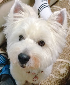 0CC36A23-4F02-49C2-B0AA-63C2D5ED1B44