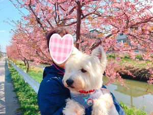 B22CD812-DE7A-4292-B073-48BD507B1761