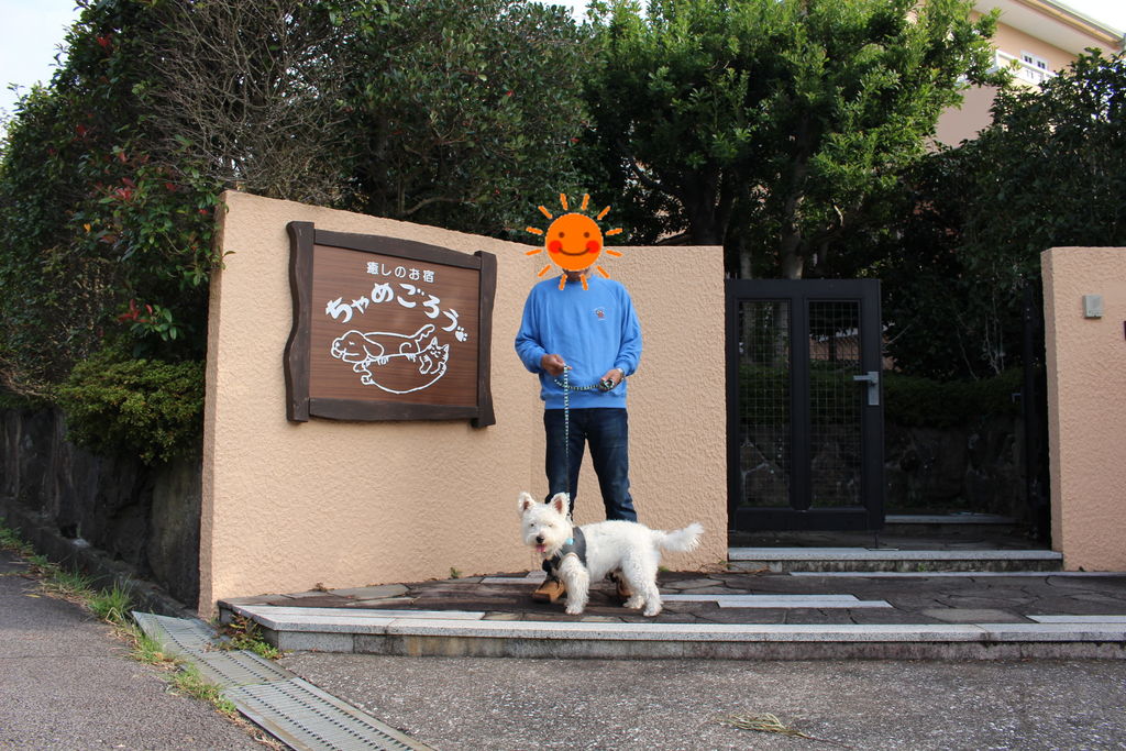 伊豆 ちゃめごろう さん一泊旅行 その 白犬おっぽ ウエスティ のルイ君と気まま暮らし 伊豆 ちゃめごろう さん一泊旅行 その 白犬おっぽ ウエスティ のルイ君と気まま暮らし