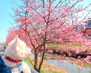 AB8BF1B0-6FE9-4759-80FB-18654CDDBE39