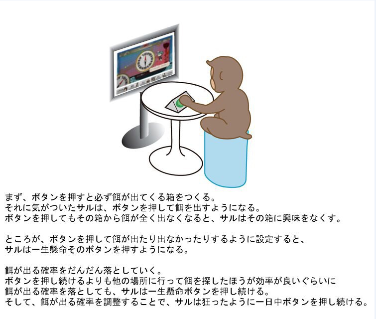 サルを完全に破壊する実験って知ってる かんぱに ガールズ雑談広場