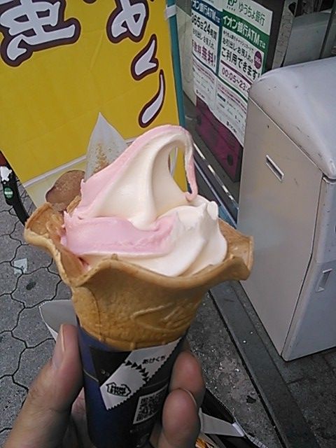 さかなや道場でランチ 息抜きのソフトクリーム 奈良の田舎で株主優待生活 株主優待を日常生活に取り込んで生活してます