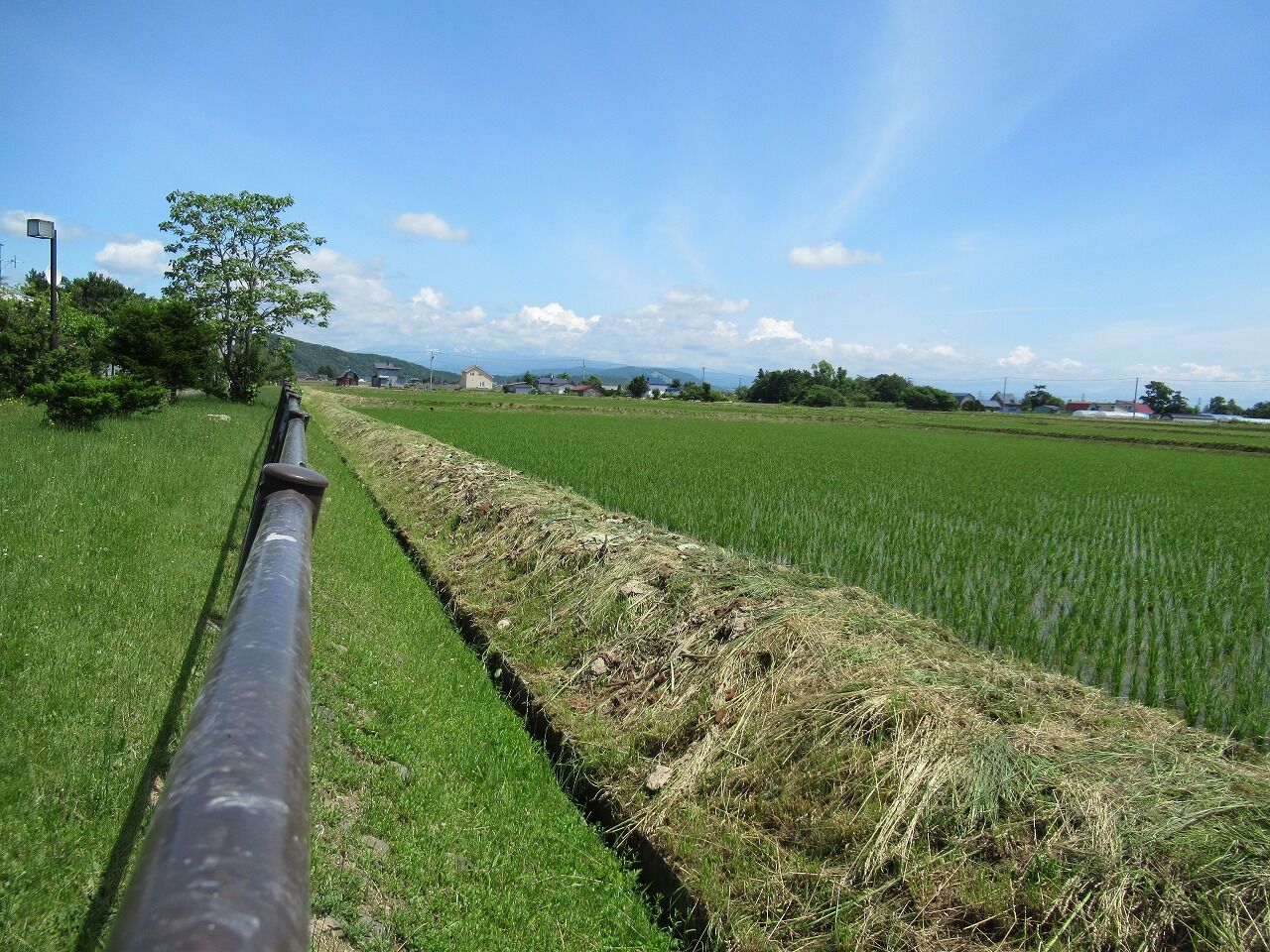 東旭川田圃風景 一歩前進 ゆっくり歩む
