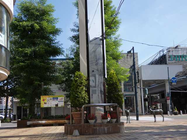 イメージ 4