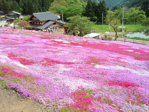 瑠兎さんのお出掛け観察