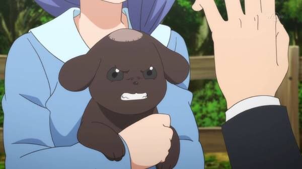 Re ゼロから始める異世界生活 9話 やっぱりハゲの犬か この犬だけプリティー 色々気になる女たち まとめ