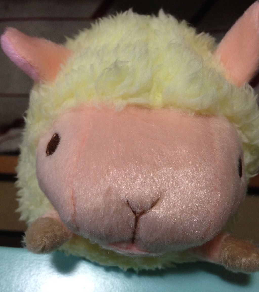 羊もふもふ ルッコラのつれづれブログ