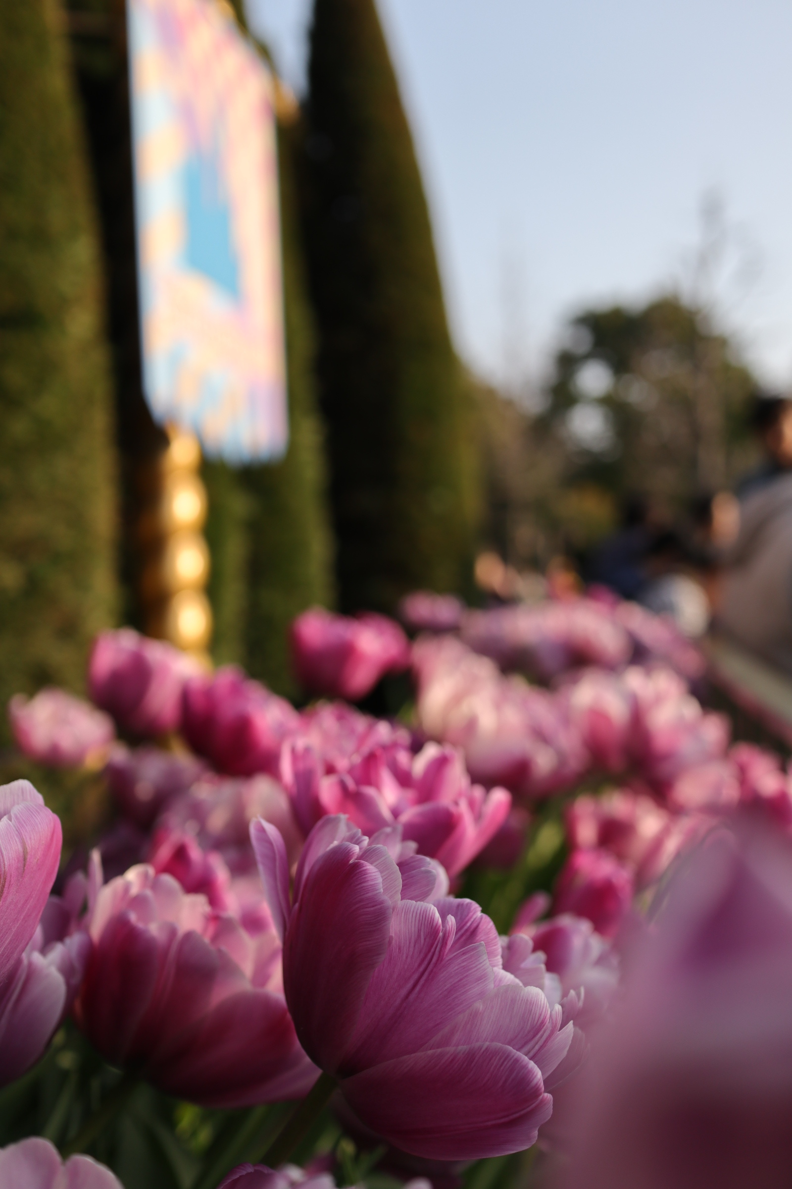 ディズニーランド最後の ハピネス イズ ヒア を撮影しに 色えんぴつのひとりごと