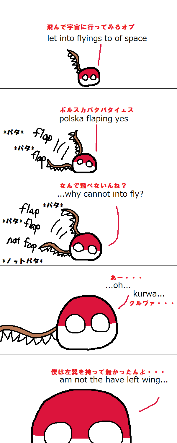 Why Polska Cannot Into Space