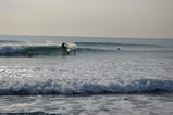 dave cutback