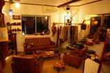 jamur1