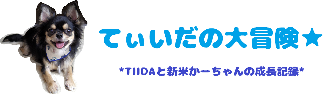 てぃいだの大冒険 イメージ画像