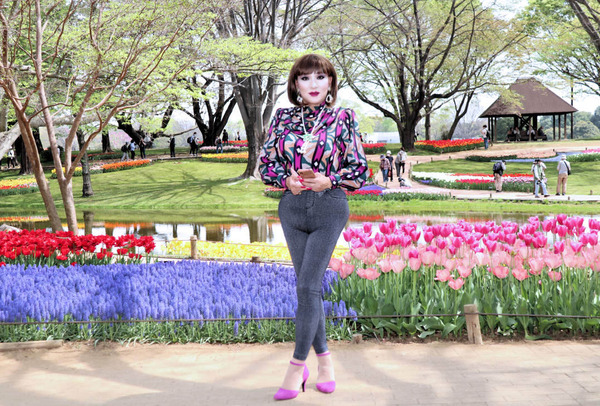 昭和記念公園51/チューリップ