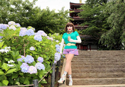 本土寺31/紫陽花