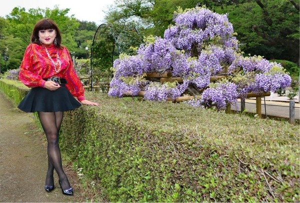 ツツジ３