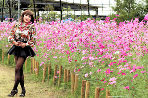 花ファンタジア08/清水公園