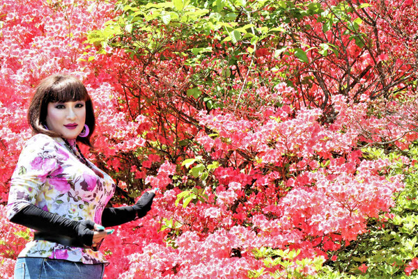 写真６